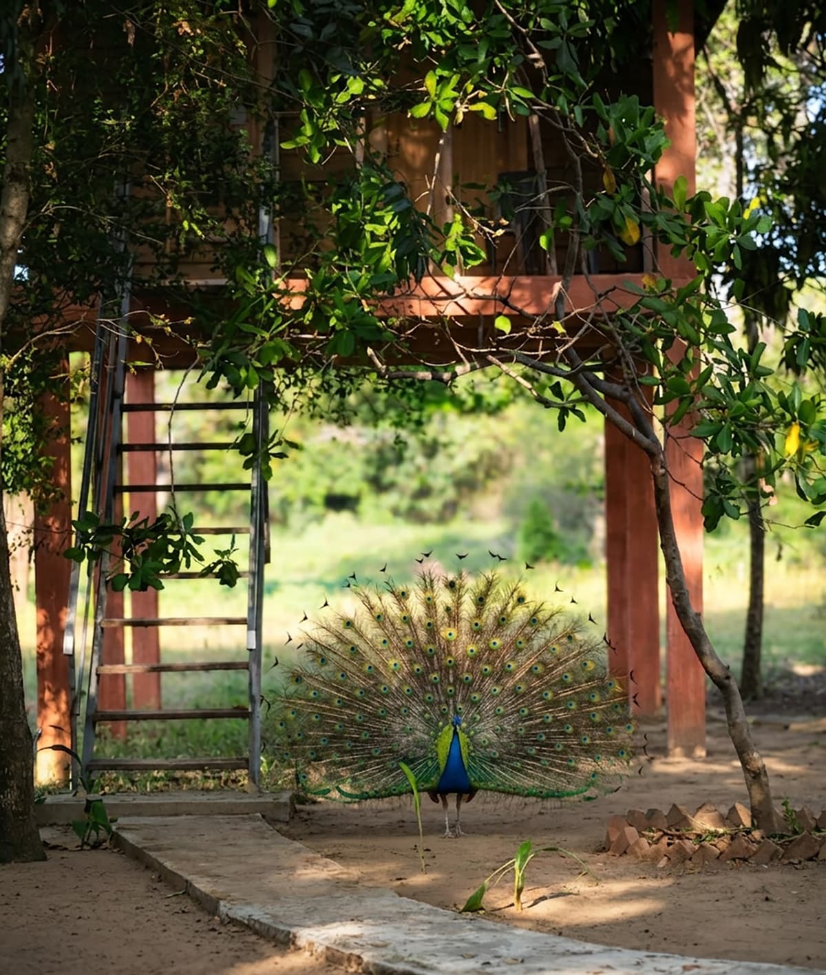 Your Gateway to Serenity